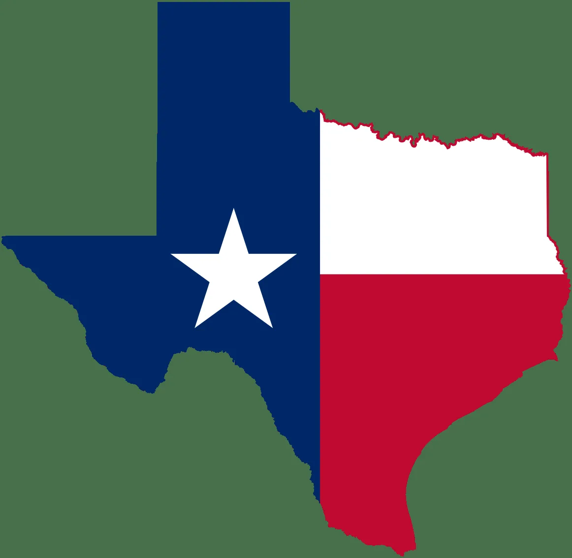 Texas Democratic Senate Primary Winner