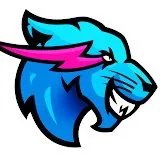 # of views of next MrBeast gaming video on day 1?