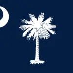South Carolina Special Senate Republican Primary: Runoff Margin of Victory