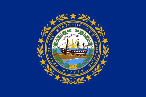 NH-01 Democratic Primary Winner